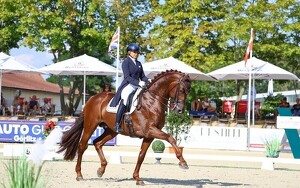 Angebot 30745