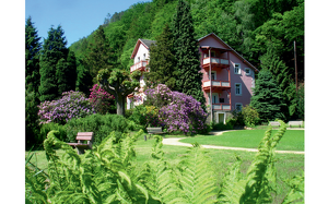Angebot 30908