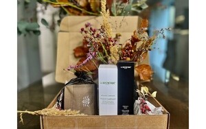 Angebot 31031