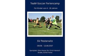 Angebot 113