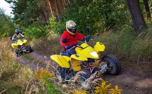 Angebot 426