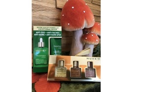 Angebot 453