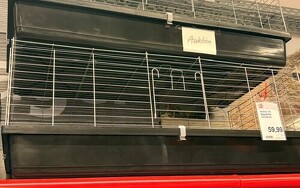 Angebot 469