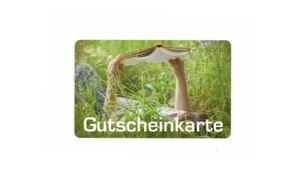 Angebot 654