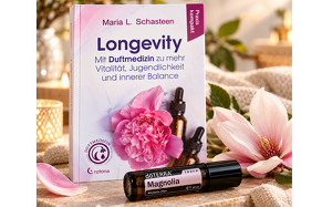 Angebot 1133