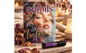 Angebot 1151