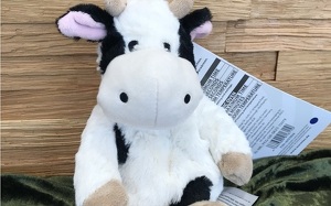 Angebot 1426