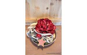 Angebot 3482