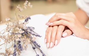 Angebot 4436